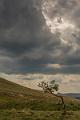 2018_08_06_Auvergne  (0038)